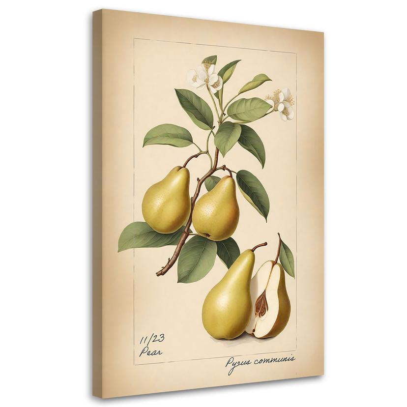 Leinwandbild Obst Weinlese-Birne