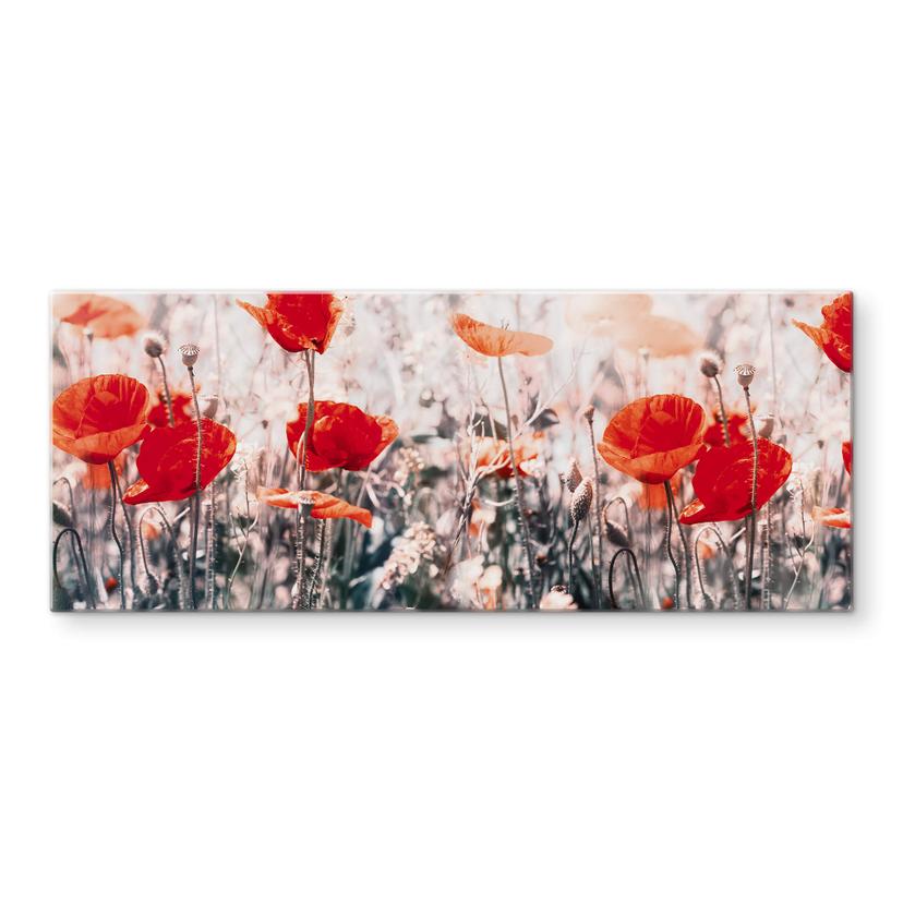 Spatscherm Red Poppies