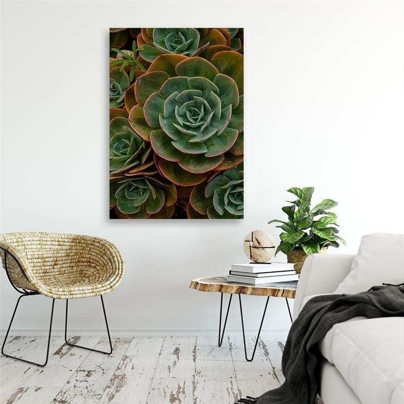 Stampe su tela, Succulente verdi