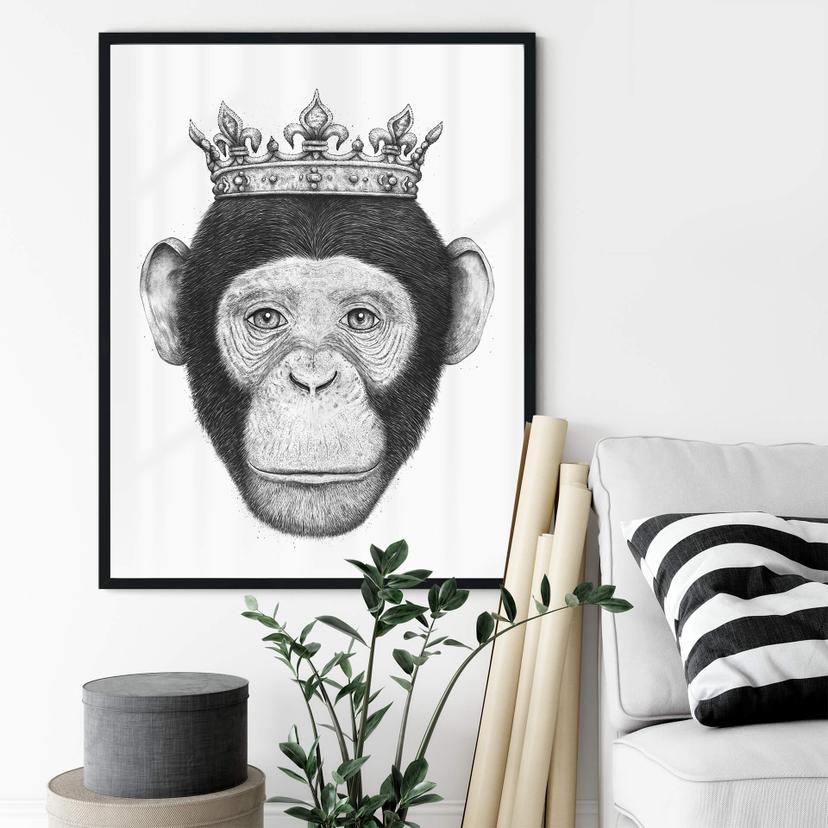 Póster Korenkova - El Rey Mono