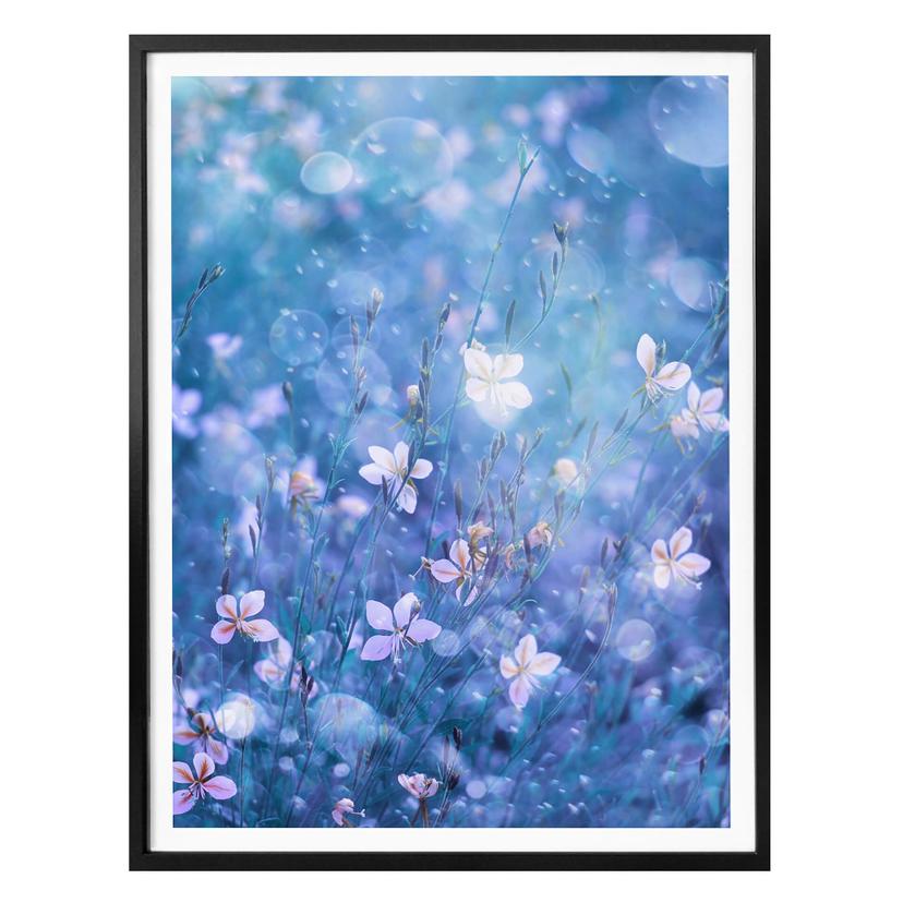 Plakat - Devos - Blomstermagi