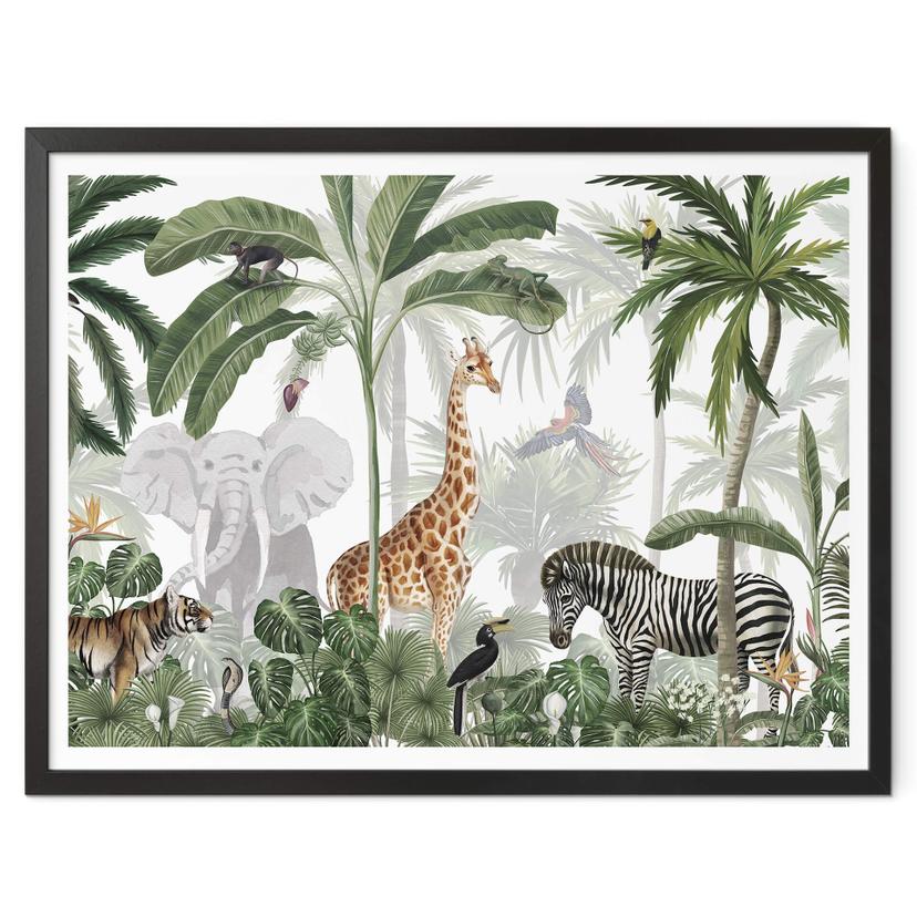 Poster Kikki Belle - Jungle