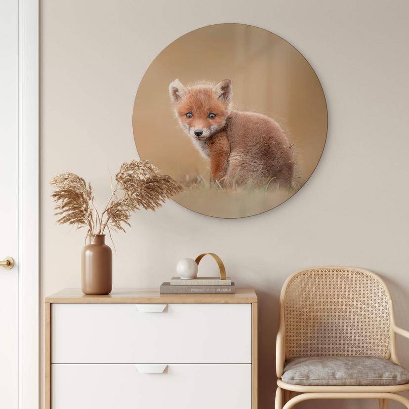 Stampa su vetro van Duijn - Baby fox