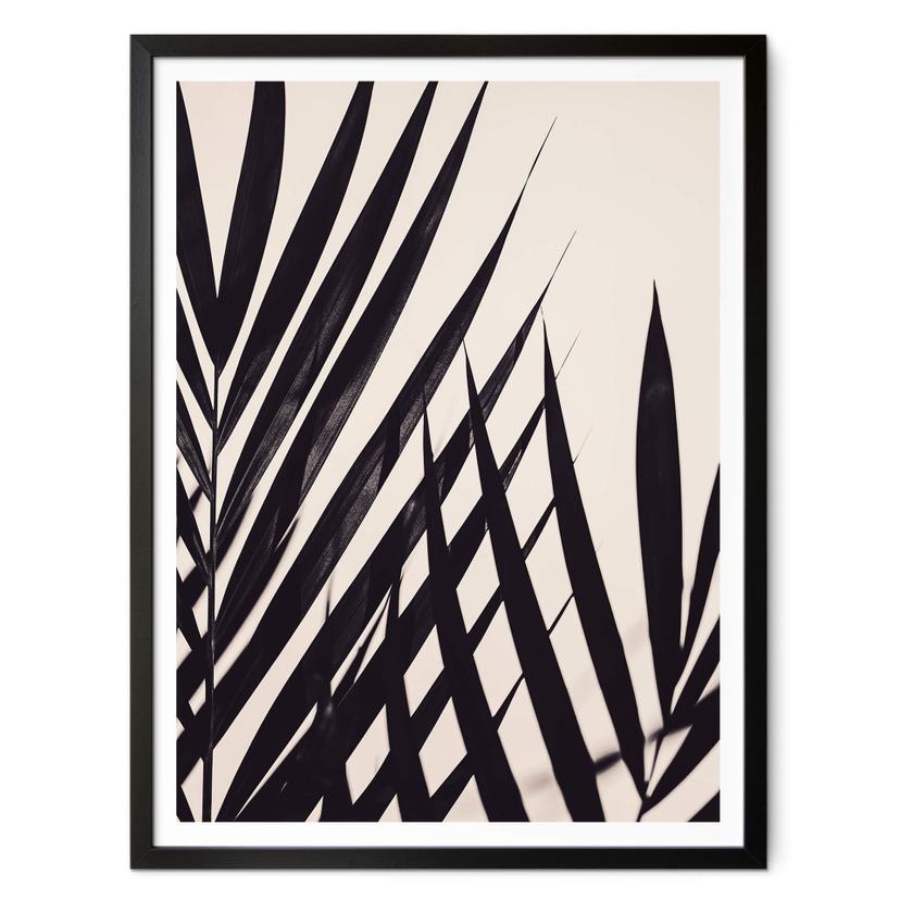 Póster 1X Estudio - Hoja de palmera negra