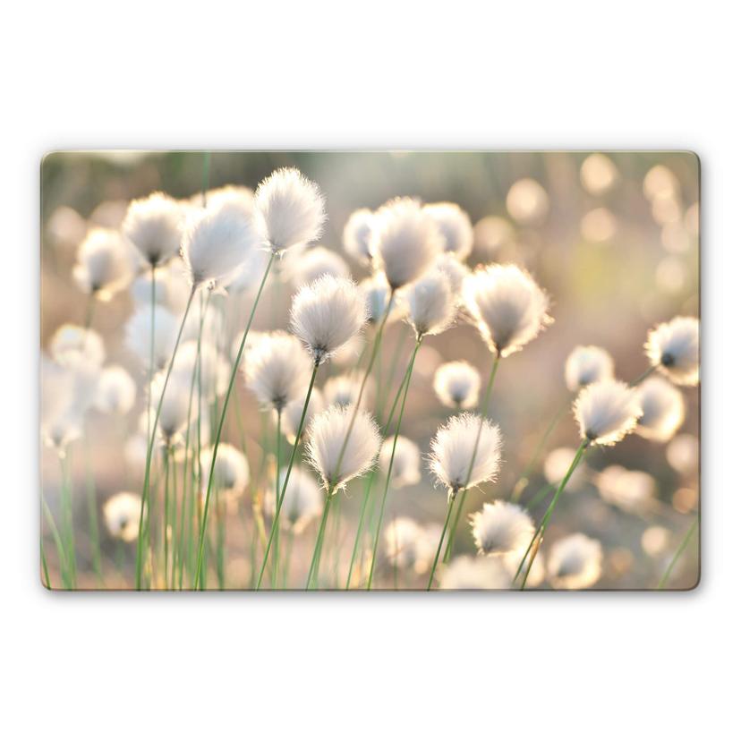 Glasschilderij Delgado - Flower Magic