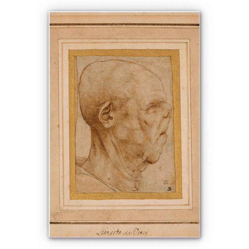 Tableau Forex - De Vinci - Caricature d'une tête d'homme