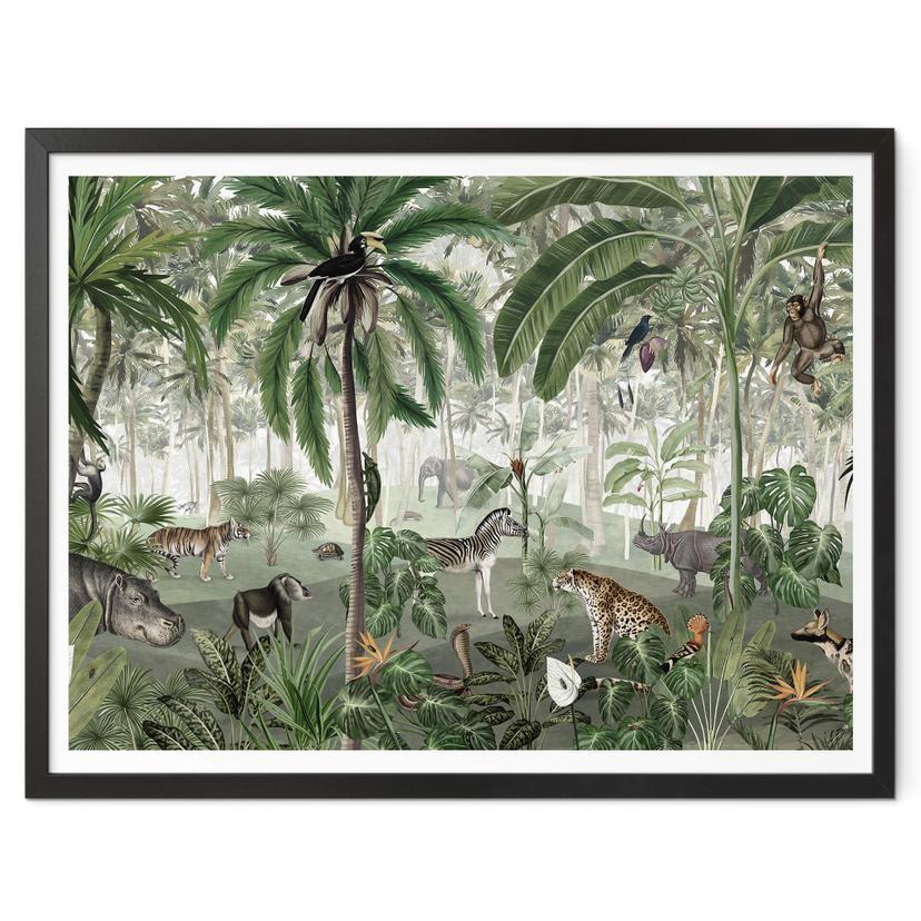 Póster Kikki Belle - Imagen de búsqueda en la selva