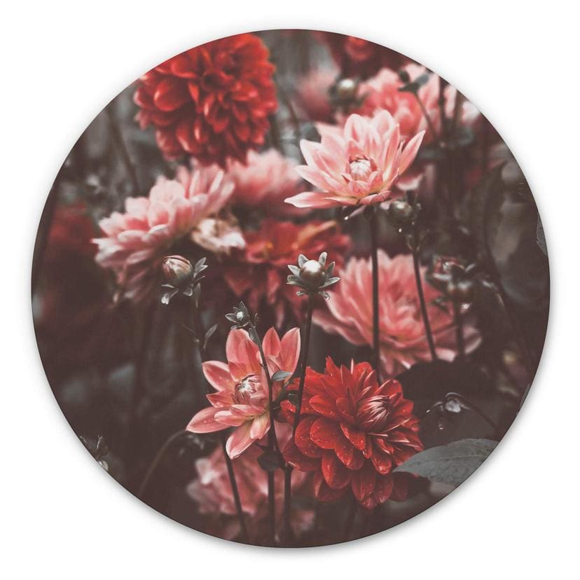 Tableau sur alu-Dibond Annie - Fleurs d'été - Rond