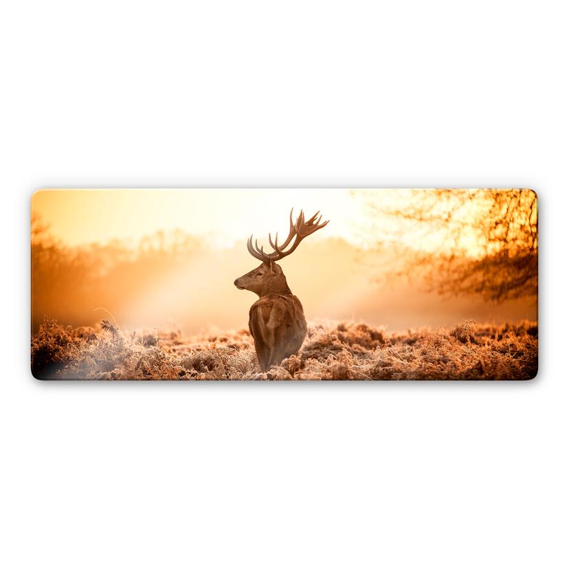 Tableau en verre - Cerf majestueux - Panorama