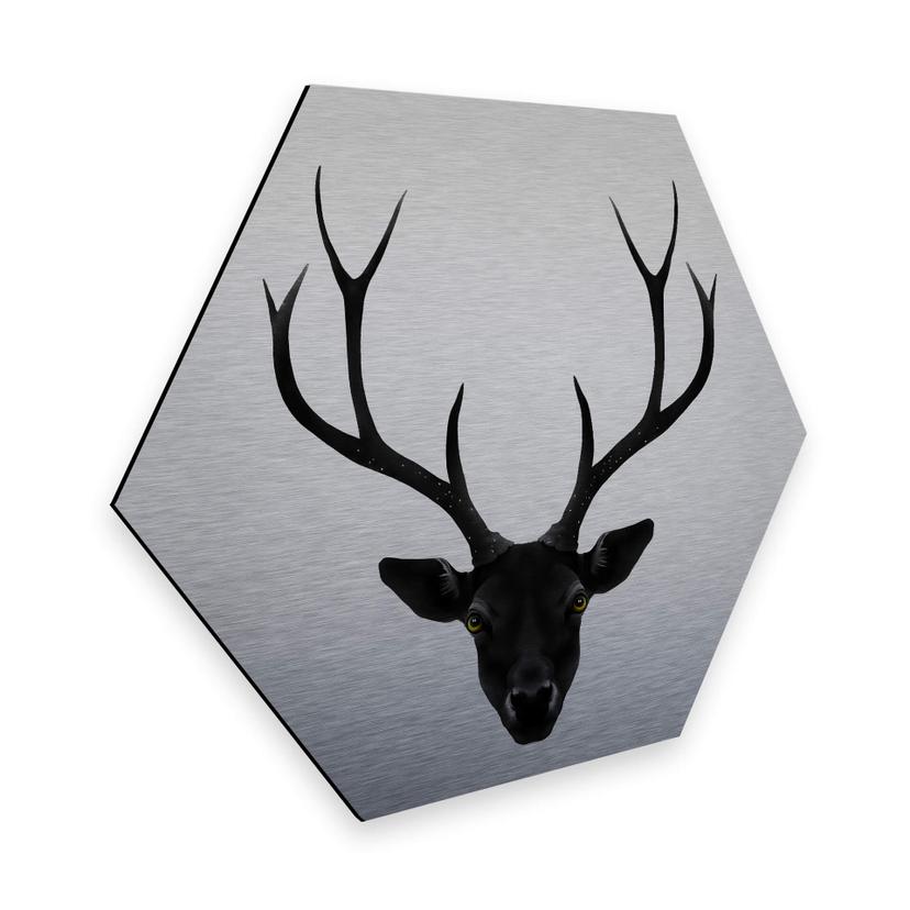 Hexagone - alu-Dibond - Effet argenté - Ireland - Cerf noir
