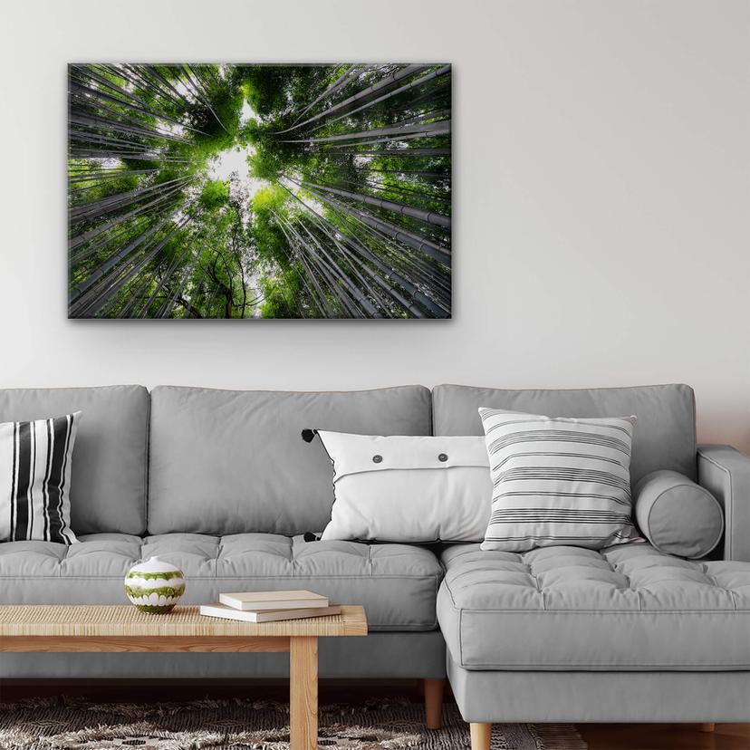 Tableau en verre acrylique Hugonnard - Forêt au Japon