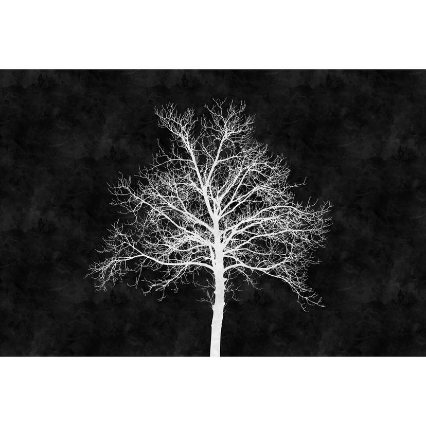 Livingwalls Fotomurale Walls by Patel blackboard 2