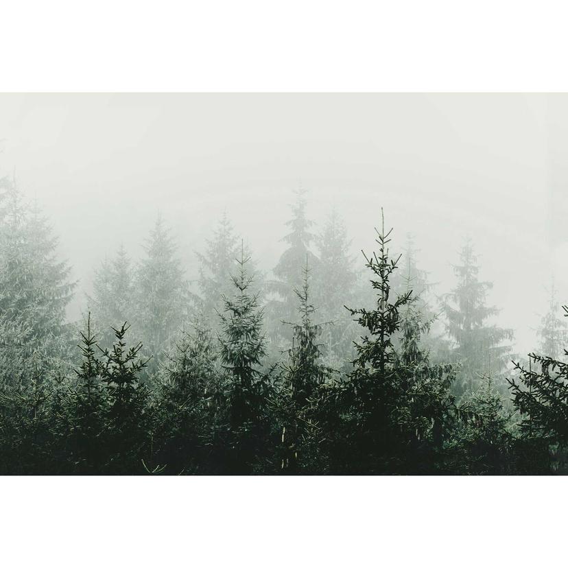 Livingwalls papier peint photo ARTist Mountain Forest