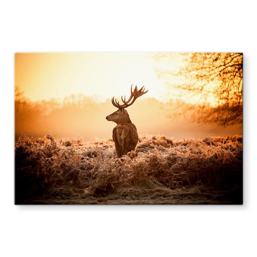 Spritzschutz Majestätischer Hirsch