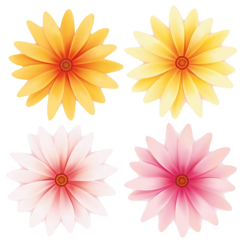 Adesivo murale - Fiori di gerbera
