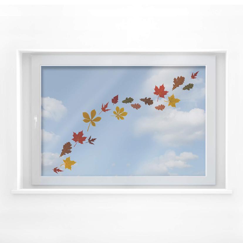 Conjunto de hojas de ventana otoño 02