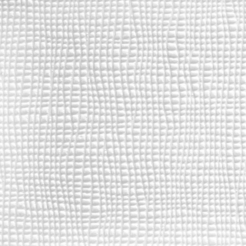 A.S. Création - carta da parati in TNT verniciabile Meistervlies Pro Protect 2 colore bianco