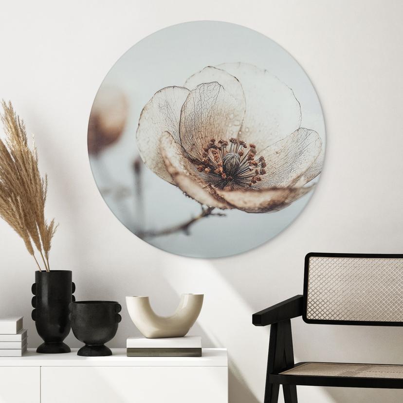 Stampe per pareti con fiori secchi beige, poesia della natura - Treechild - Alu-Dibond Round