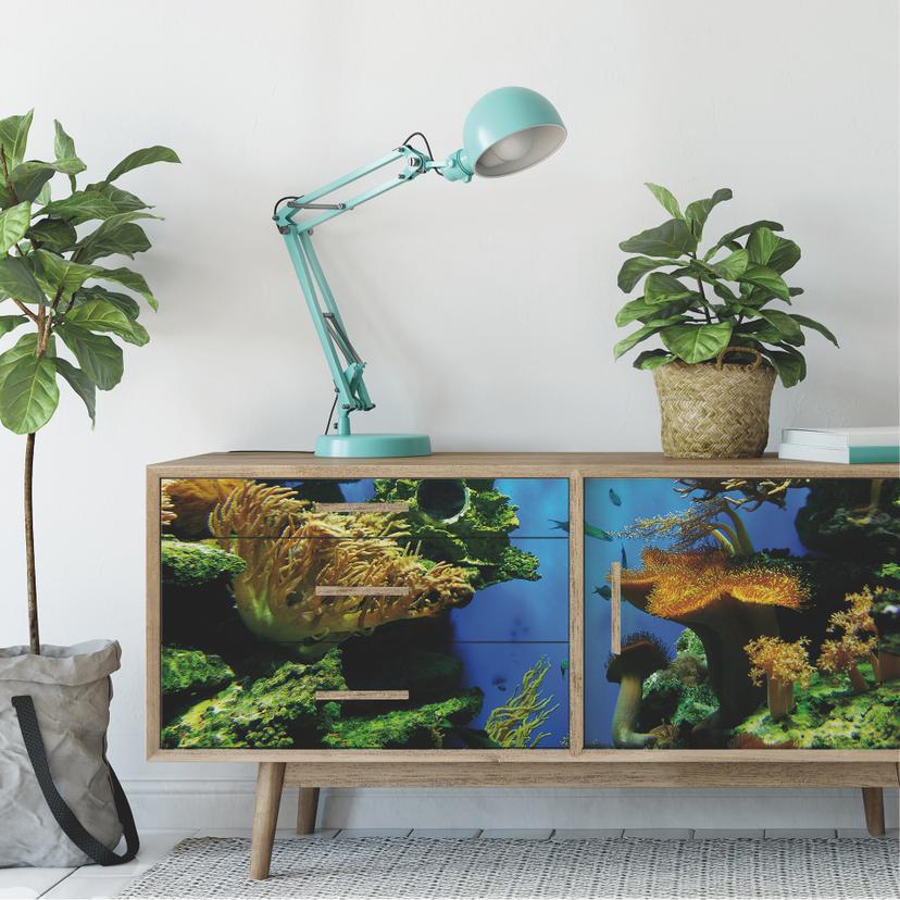 Poster autocollant - W - Récif de Corail