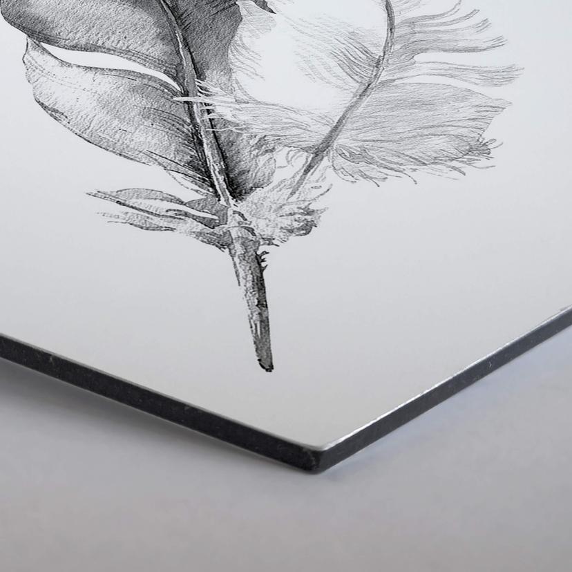 Hexagon Alu-Dibond - Feathers