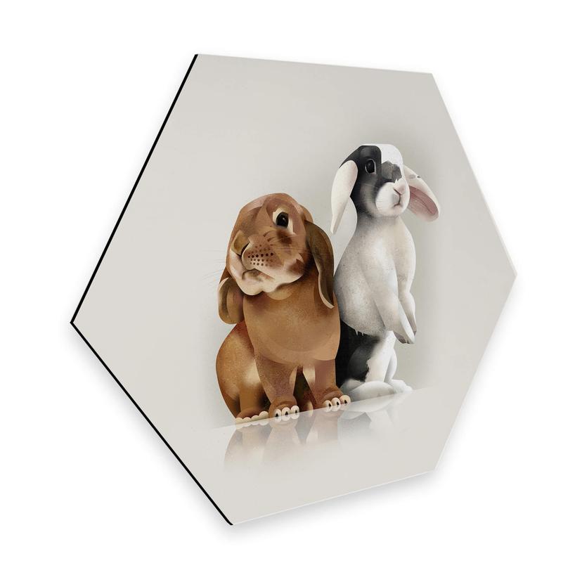 Hexagon Dibond Braun - Bunny Love