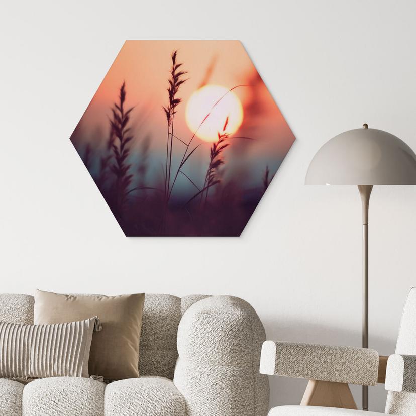 Stampe esagonali per pareti Erbe alla luce del sole - Treechild - Alluminio Dibond