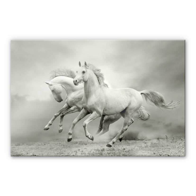 XXL Billede Heste i galop