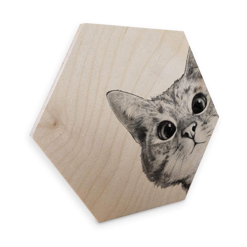 Hexagon berkenfineer - Graves - Sneaky Cat