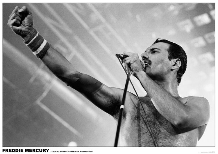 Plakat Freddie Mercury - Wembley 1984, Plakat (84,1 x 59,4 cm)