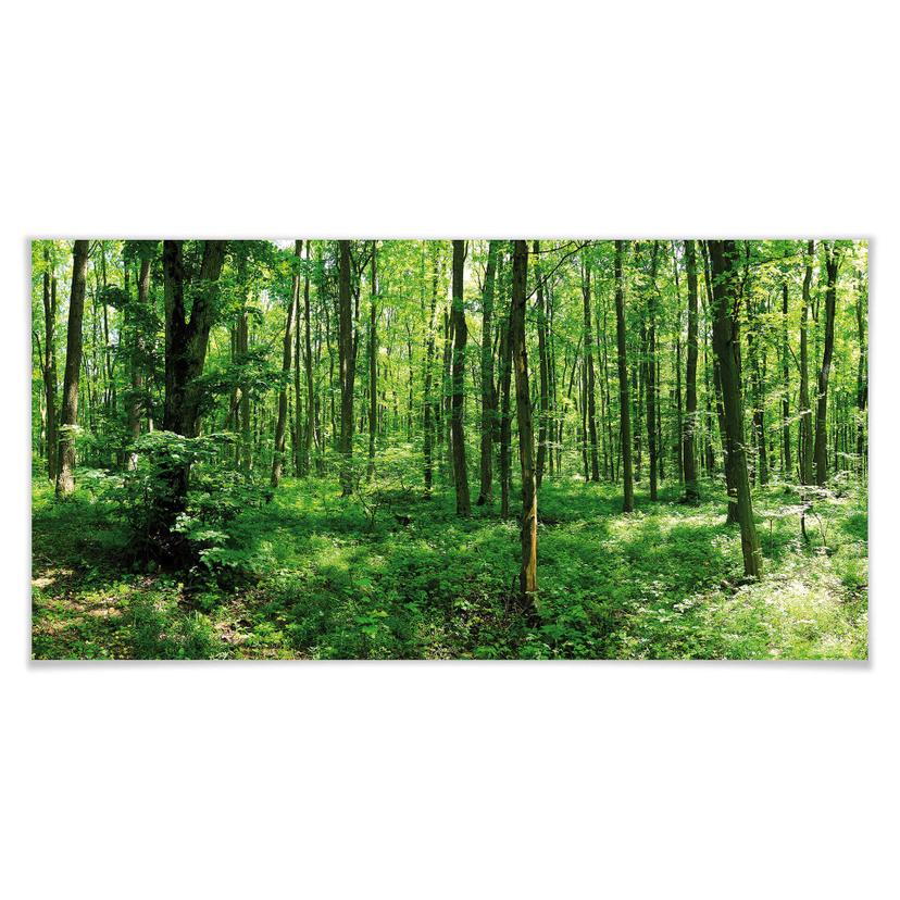 Póster panorama forestal 01
