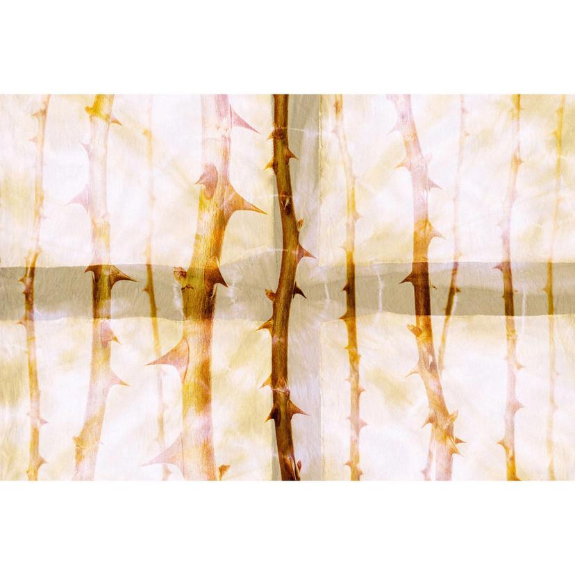 Architects Paper Fotomurale - Atelier 47 Spine