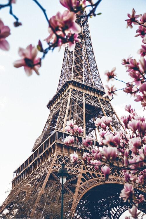 Plakat Paris - Eiffeltårnet, plakat (80 x 120 cm)