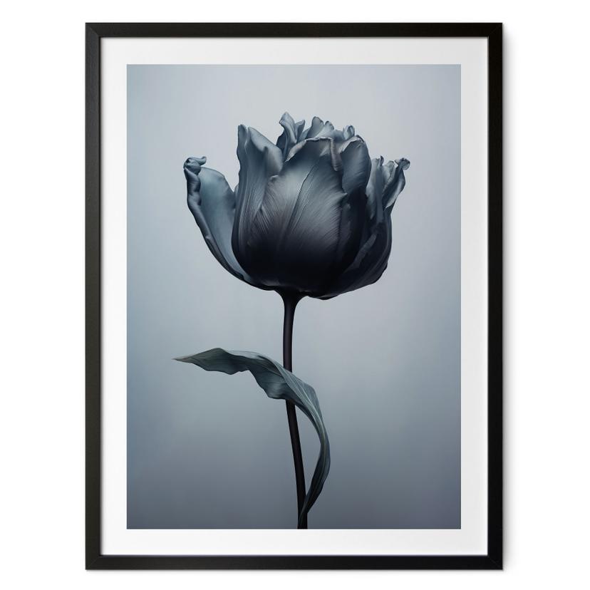 Póster tulipán aterciopelado en negro - Paksoylu