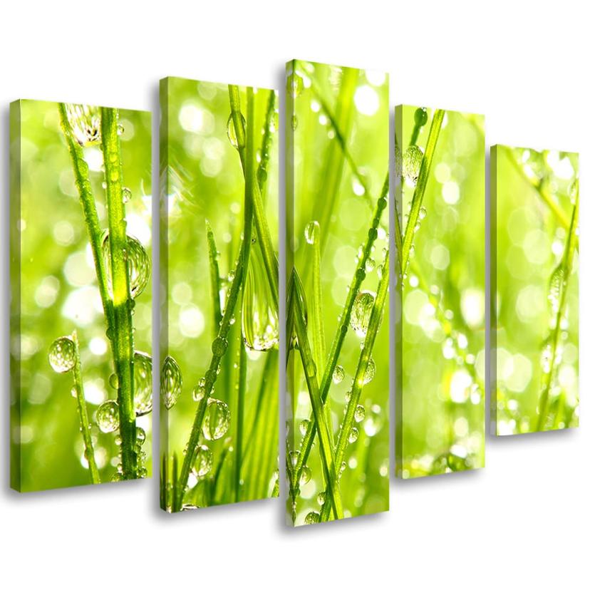Tableau sur toile en 5 parties Feuilles vertes Gouttes de rose