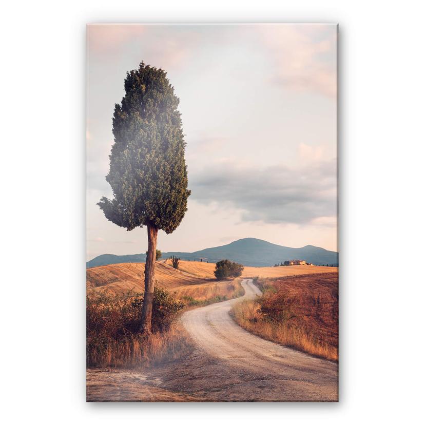 Akrylbillede Colombo - Cypress path