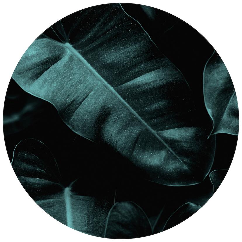 Kubistika - Djungel - Rund Fototapet - non-woven tapet/självhäftande non-woven tapet