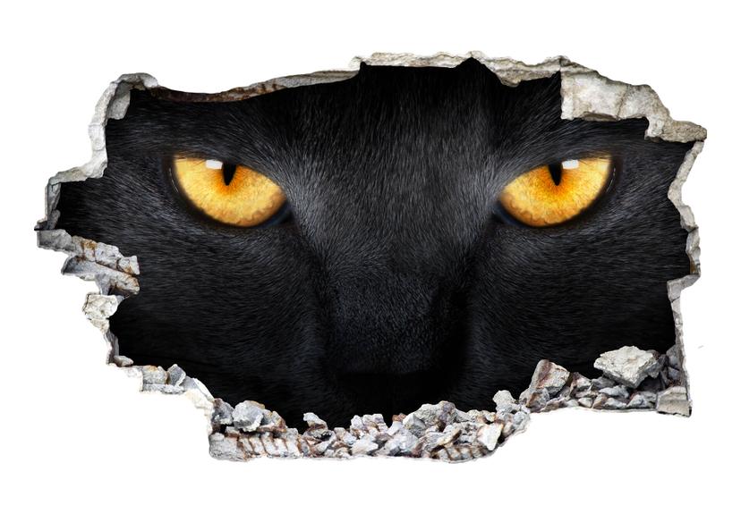 3D Muursticker Kattenogen