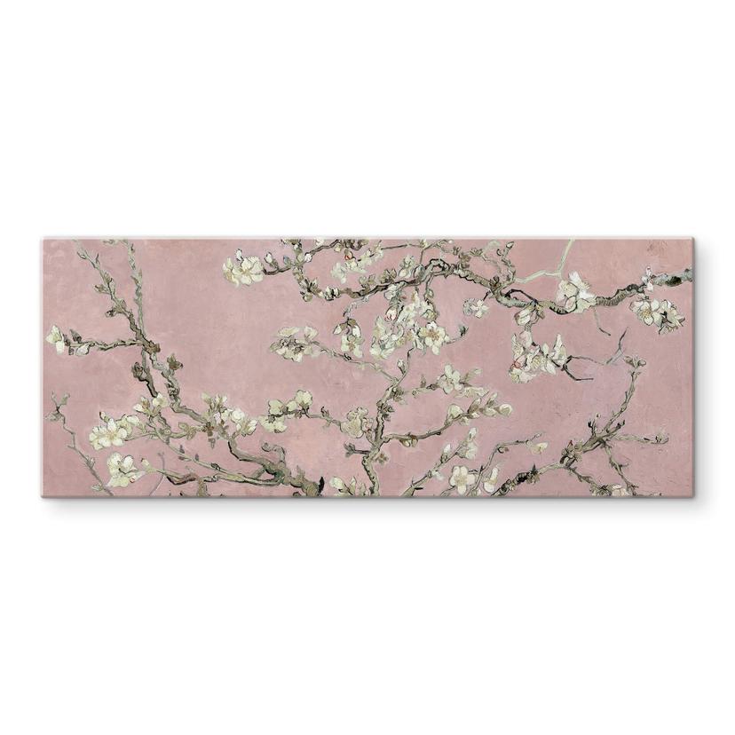 Tableau en verre van Gogh - Amandier en fleurs Rose - Panorama
