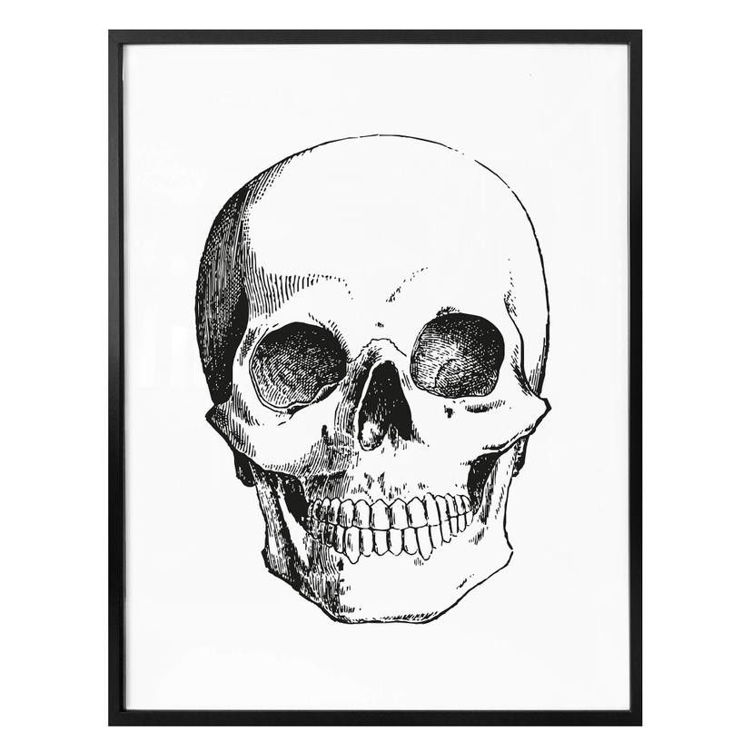 Affiche - Crâne humain