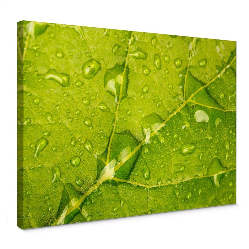 Tableau sur toile Perles d'eau