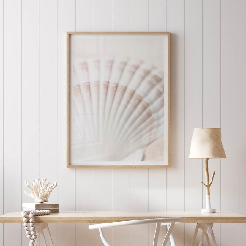 Poster 1X Studio - Schelp