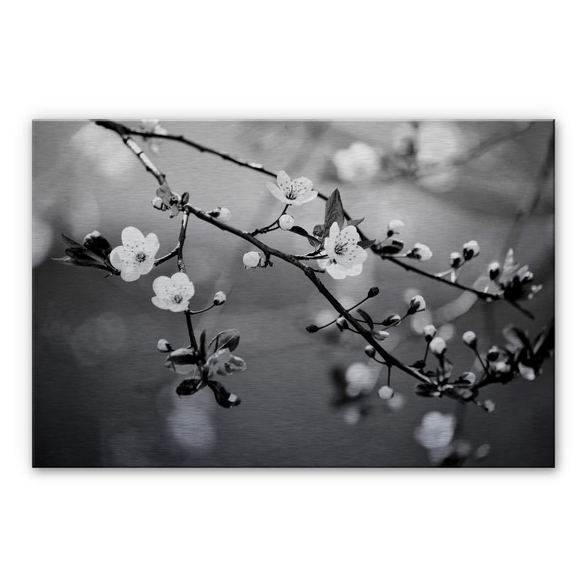 Tableau en alu-Dibond Éveil du printemps