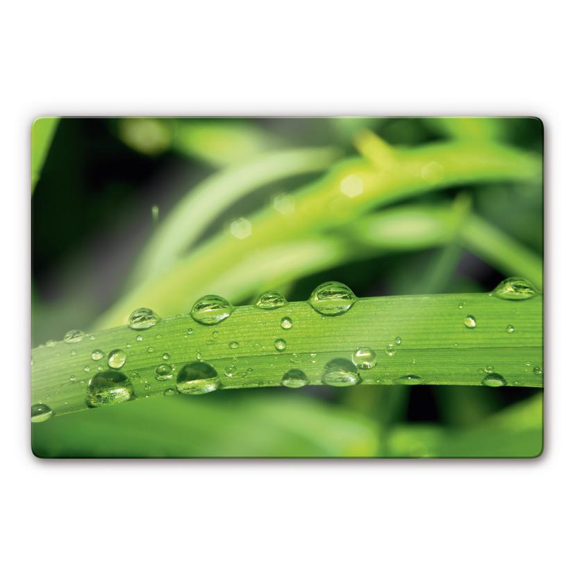 Tableau en verre - Nature 5