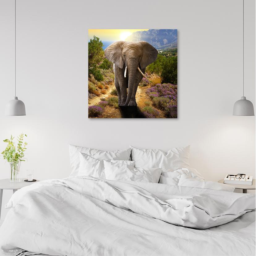 Stampe su tela, Elefante al tramonto