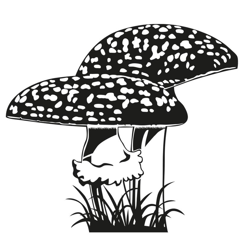 Sticker mural - Amanita muscaria