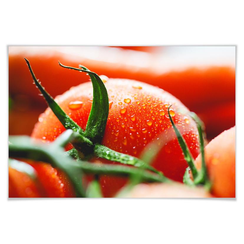Poster - Fresh Tomato