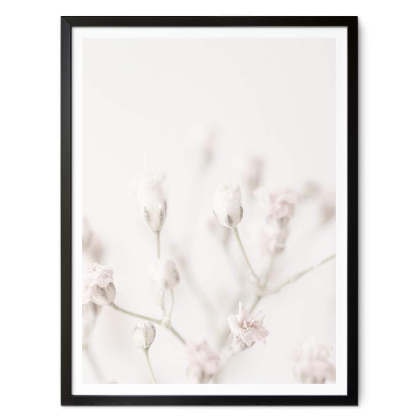 Póster 1X Studio - Flores delicadas