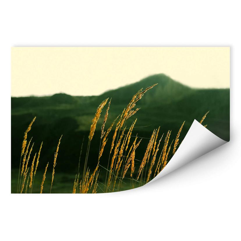 Poster autocollant - W - Herbes