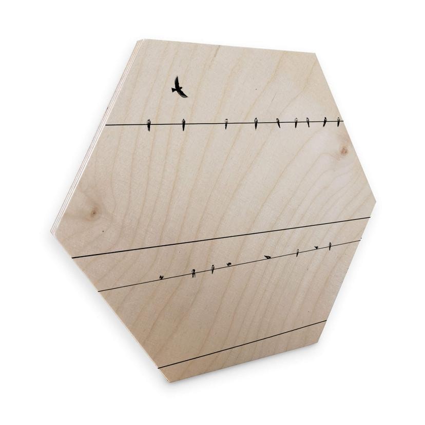 Hexagon hout - Birds on a wire