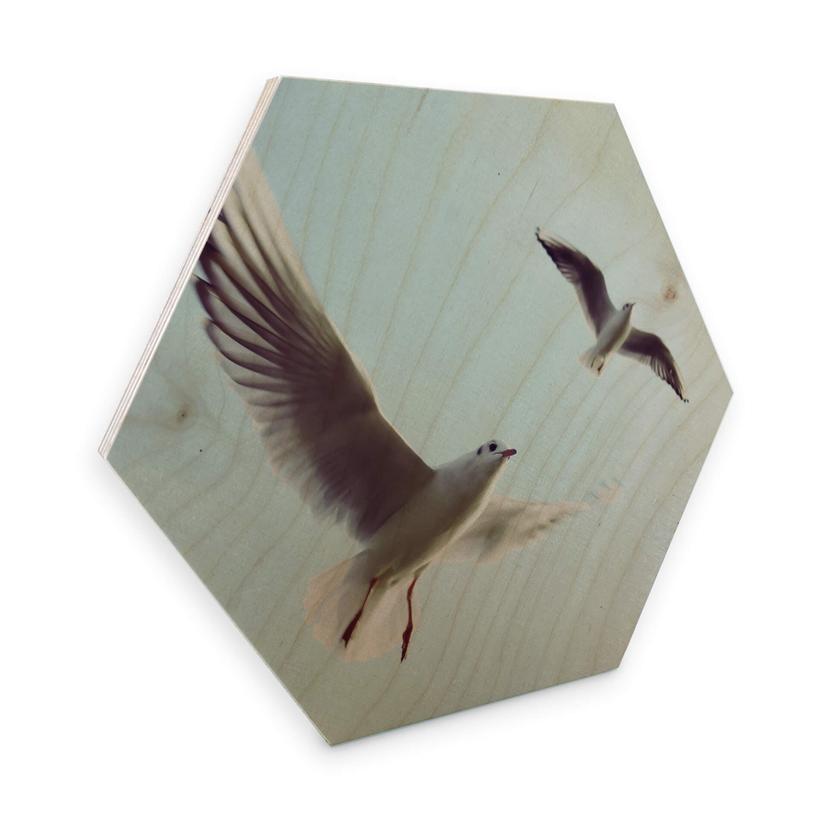 Hexagon Hout - Meeuwen